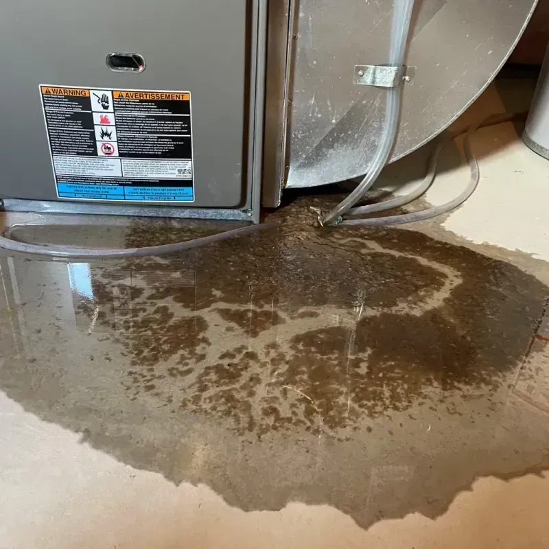 Appliance Leak Cleanup in Sturgis, MI